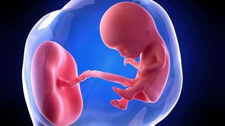 妊娠12週エコー写真 ニンアカ