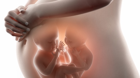 双子の場合は子宮底長はどうなる？