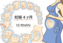 妊娠15週