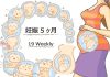 妊娠19週