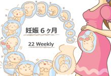 妊娠22週
