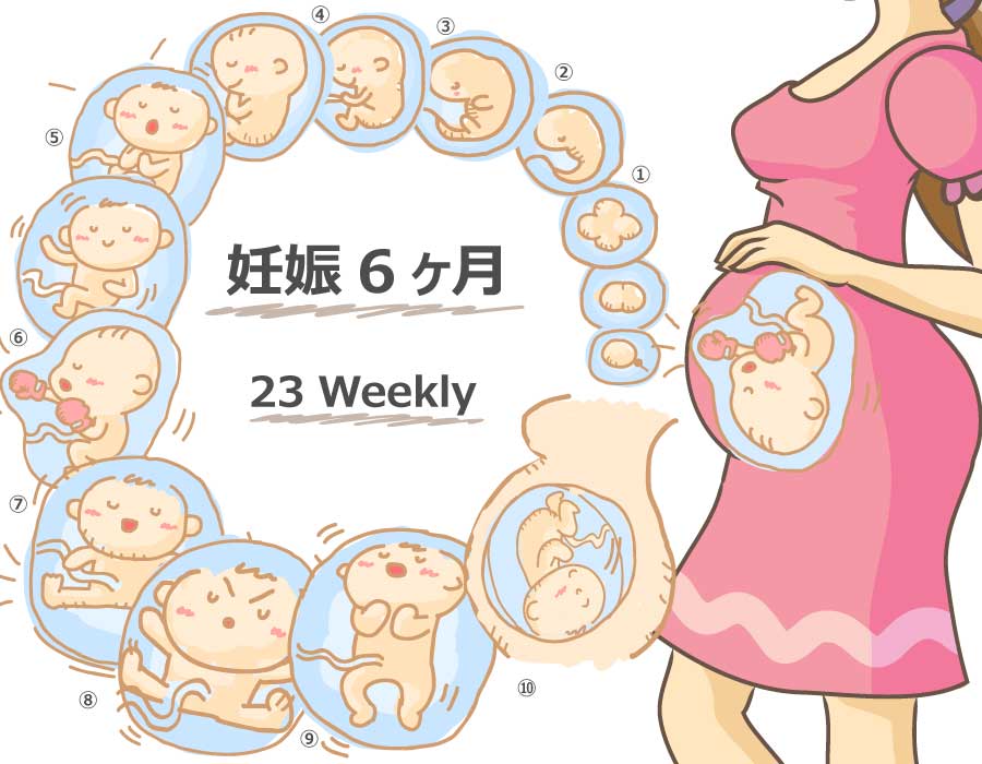 妊娠23週 胎児と母体の症状で知っておきたいこと ニンアカ