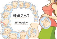 妊娠25週