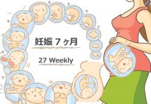 妊娠27週