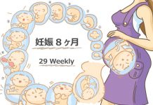妊娠29週