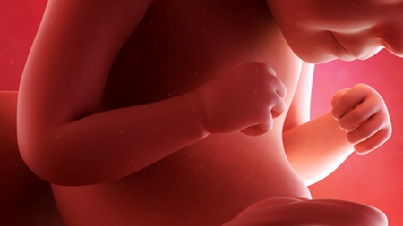 妊娠29週　胎児　モロー反射　の様子