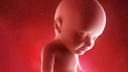 妊娠31週　胎児　頭　顔　の様子