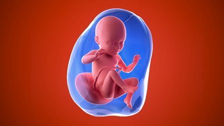 妊娠34週　胎児 胎盤　羊水　の様子