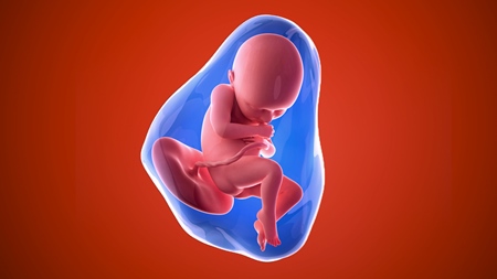 妊娠36週　胎児 胎盤　羊水　の様子