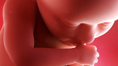 妊娠37週　胎児　顔　手　胎盤の様子