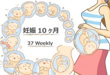 妊娠37週