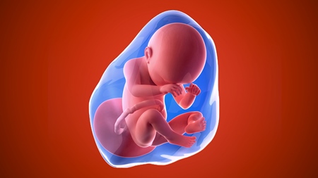 妊娠38週　胎児 胎盤　羊水　の様子