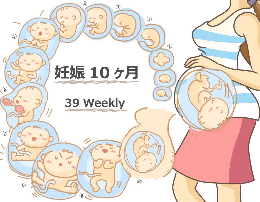 妊娠39週 胎児と母体の症状で知っておきたいこと ニンアカ