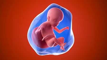 妊娠23週　胎児 胎盤　羊水　の様子