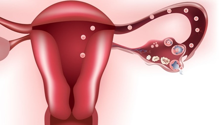 妊娠超初期の下腹部痛の原因とは？