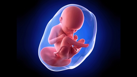 妊娠9ヶ月　胎児 胎盤　羊水　の様子