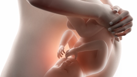臨月の胎動は弱い？激しい？