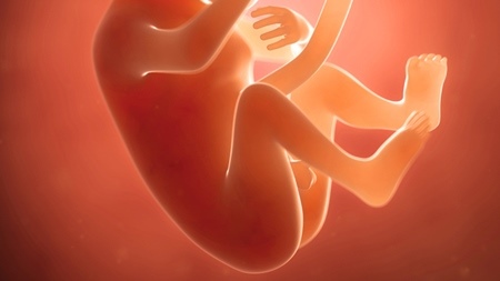 妊娠中期の胎動が頻繁な原因とは？