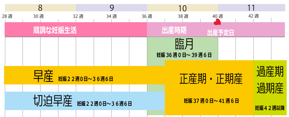 臨月と出産について