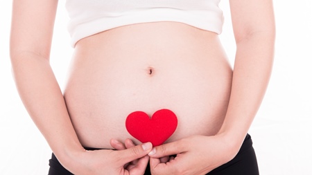 妊娠初期の子宮の大きさの変化