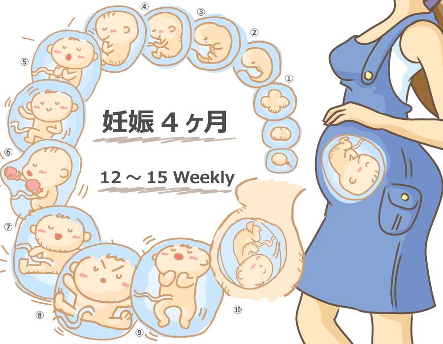 【妊娠4ヶ月】胎児と母体の症状で知っておきたいこと ニンアカ
