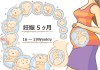 妊娠5ヶ月