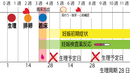 着床出血の量と期間について ニンアカ