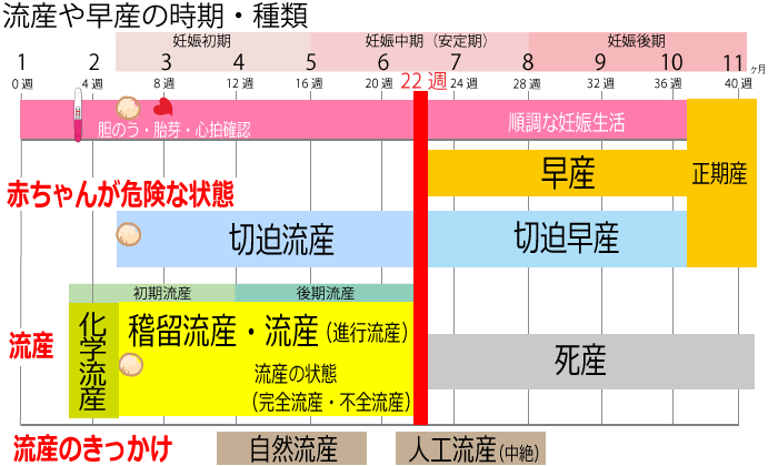 流産のいつからいつまで時期 切迫流産 切迫早産 稽留流産 化学流産 初期流産 後期流産の一覧表 ニンアカ