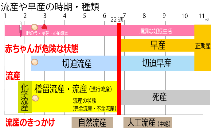 流産のおきる時期 切迫流産 切迫早産 稽留流産 化学流産 ニンアカ