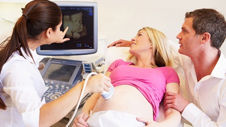 妊娠9週４D　3Dエコーで詳細な胎児を