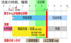 安定期はいつから？
