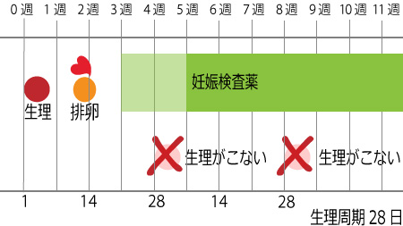 週 数え 妊娠 方 数